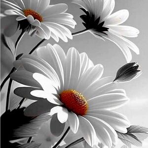 Meet your Posher, Becky